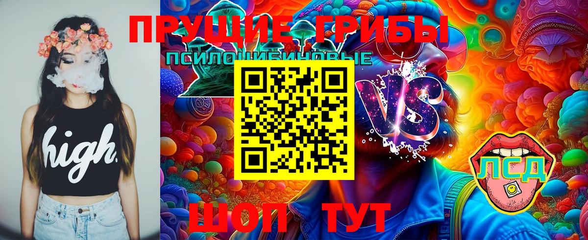 Калач-на-Дону  Галлюциногенные грибы ЛСД  Вход с VPN  Псилоцибиновые грибы ЛСД 